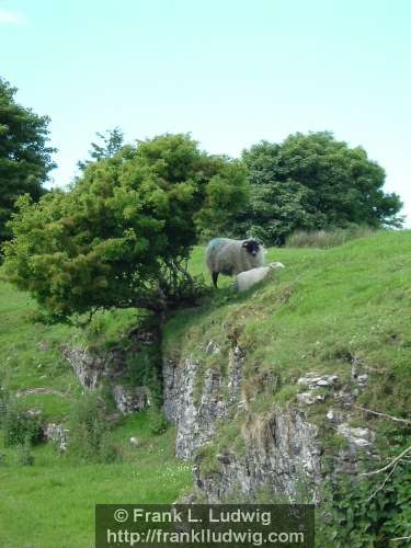 Bricklieve Mountains